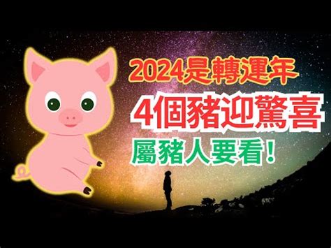 豬年2024運程|【2024豬年】生肖豬2024好運滾滾來！屬豬運勢、幸。